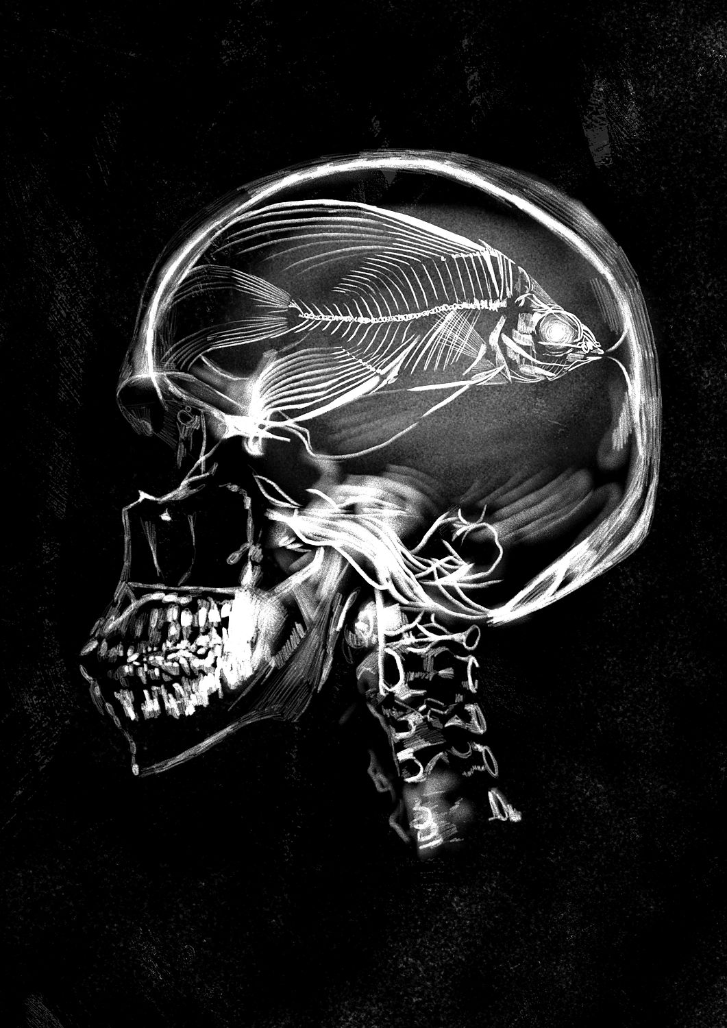 Monochromia Skeletal
