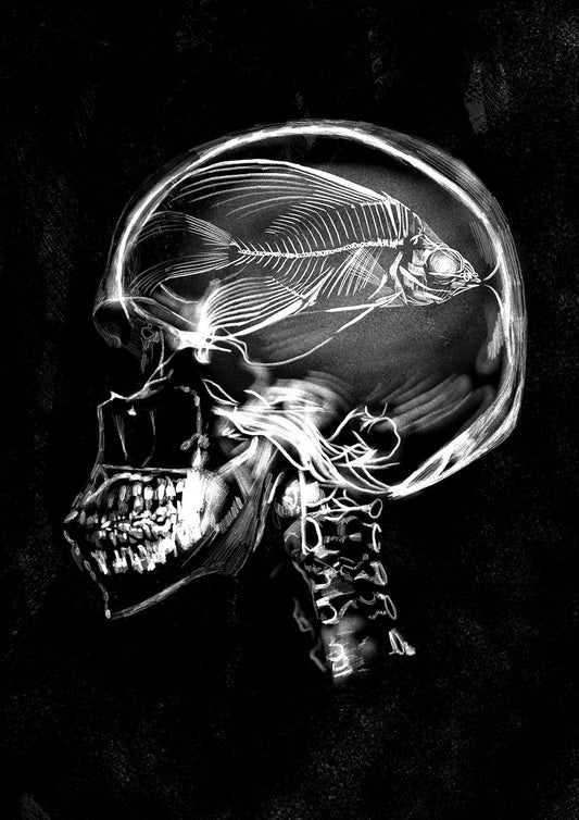Monochromia Skeletal